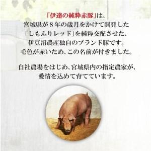 ふるさと納税 しゃぶしゃぶセット（2〜3人前） 宮城県登米市