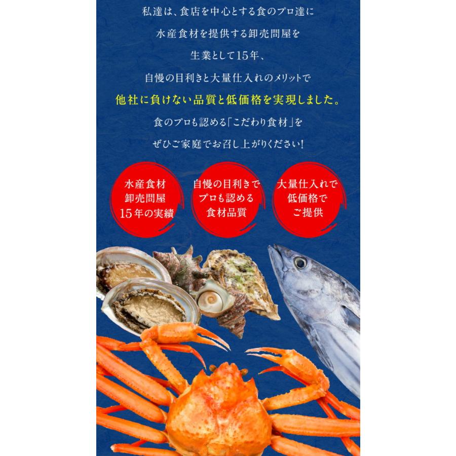 刻みうなぎ 1kg 炭火焼 蒲焼 訳あり きざみ 切り落し 端材 ウナギ 鰻 在宅応援 母の日 父の日 敬老 歳暮 ギフト