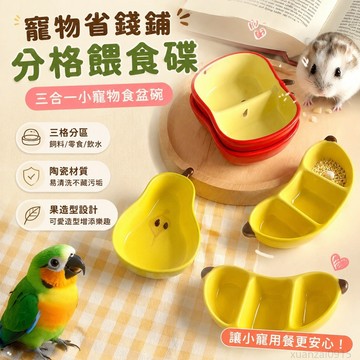 寵物省錢鋪】 分格倉鼠鸚鵡餵食碟蜜袋鼯刺蝟守宮寄居蟹水盆三合一小寵物食盆碗 寵物用品 出貨 鸚鵡飼料盒 倉鼠碗 陸龜水盆