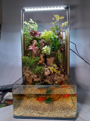 開運生態造景魚缸AE-30 L型高缸  居家風水最耀眼的擺飾