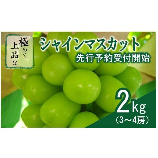 ふるさと納税 山梨県 大月市 山梨県産　極めて上品なシャインマスカット(3〜4房)約2kg