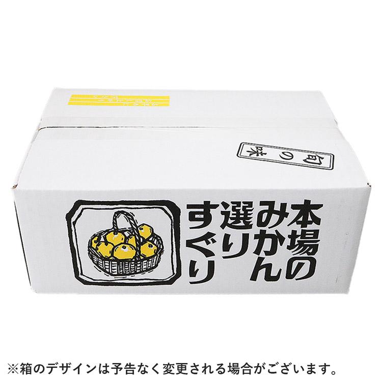 みかん 2.5kg 大玉 訳あり 産地厳選 ご家庭用 2Lサイズ 常温便 同梱不可 指定日不可