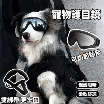 隔日達~寵物墨鏡 狗墨鏡 寵物太陽眼鏡 寵物眼鏡 狗狗墨鏡 狗眼鏡 狗狗眼鏡 狗狗護目鏡 護眼鏡 酷狗墨鏡 酷帥狗狗墨鏡