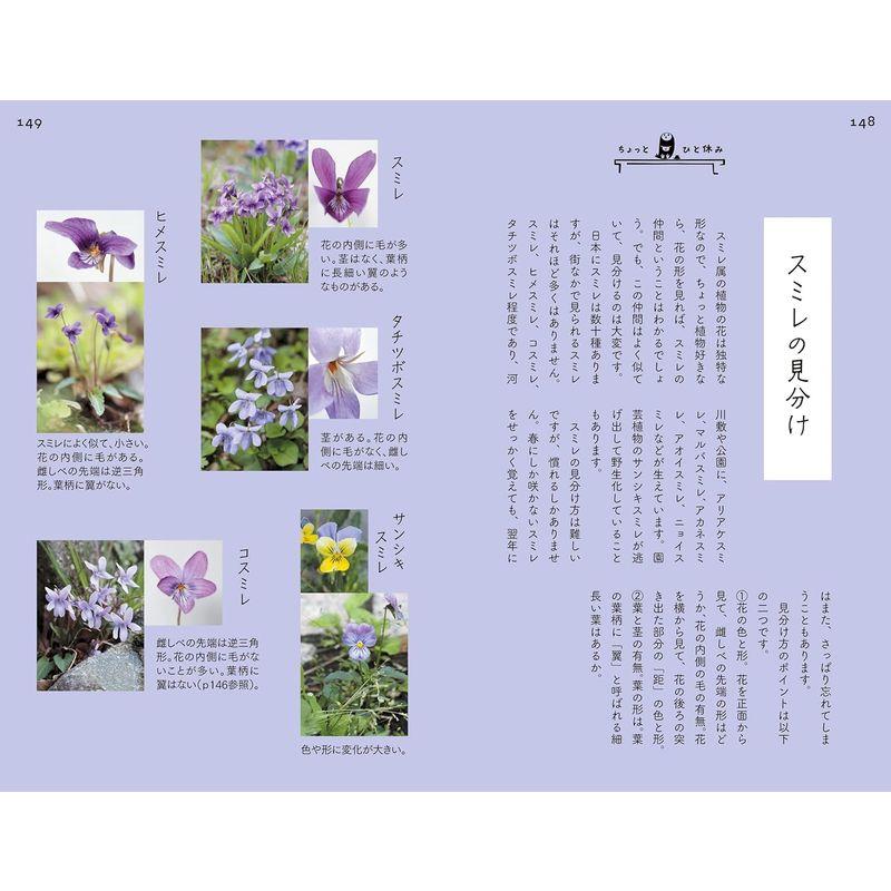 散歩道の図鑑 あした出会える雑草の花100