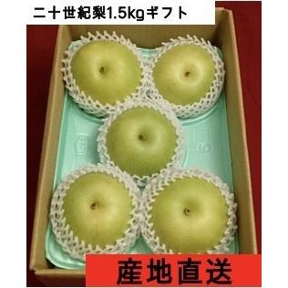 梨　ギフト　20世紀梨1.5kg（５玉）　送料無料　2024年産予約