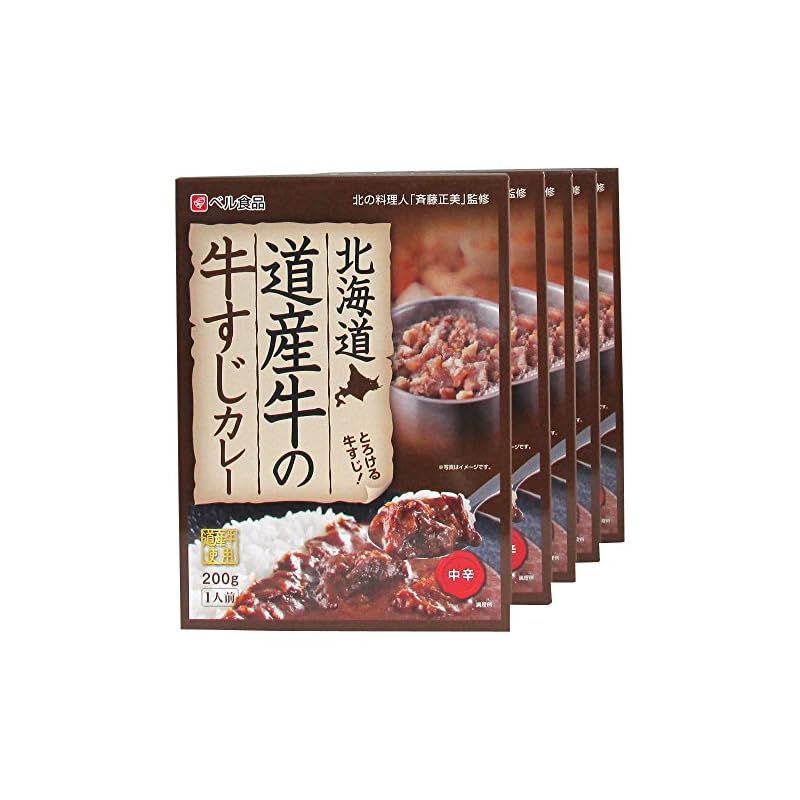 カレー レトルトカレー 北海道 道産牛の牛すじカレー 中辛 5箱 セット 北の料理人 斉藤正美監修 北国からの贈り物