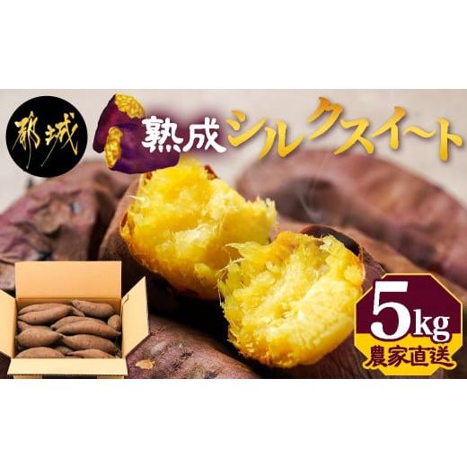 ふるさと納税 宮崎県 都城市 山下農園　熟成シルクスイート 5kg 都城産 シルクスイート 5kg 農家直送 サイズ未選別 さつまいも 熟成_LD-I702