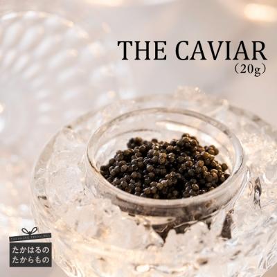 ふるさと納税 高原町 THE・CAVIAR(ザ・キャビア)　20g　特産品番号486