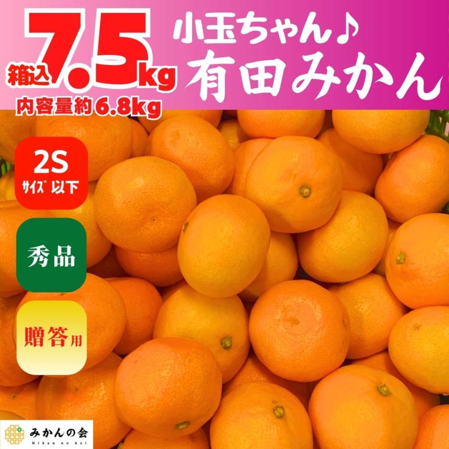 みかん 小玉ちゃん 箱込 7.5kg 内容量 6.8kg 2S サイズ以下 秀品 有田みかん 和歌山県産 産地直送 贈答用 