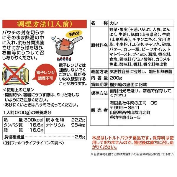 ご当地カレー 山形合カレー 山形牛と庄内豚  10食セット