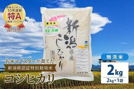 お米マイスターが育てた特別栽培米 精米コシヒカリ 上越産 令和5年産 2kg(2kg×1袋)無洗米