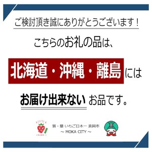 JAはが野厳選！とちぎのメロン2種食べ比べ3L 2玉 化粧箱入り