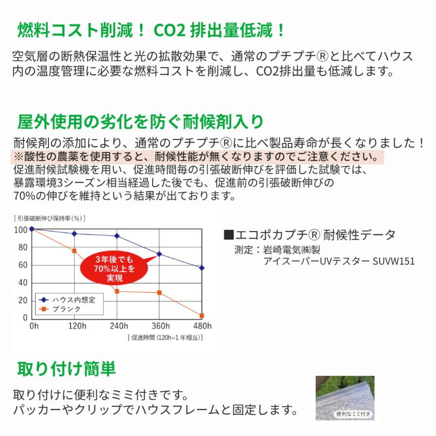 エ d37L 2400mm幅x100m巻