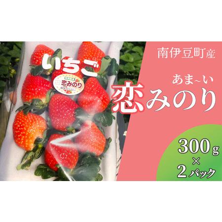 ふるさと納税 完熟いちご 恋みのり 300g 2パック（DXパック） 静岡県南伊豆町