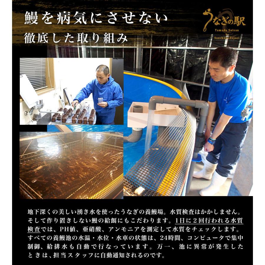 鹿児島県産 山田水産の極上国産うなぎ蒲焼「山田の粋（やまだのいき）」長焼（120g×4尾）送料無料 鰻蒲焼 ウナギ ※クール冷凍便