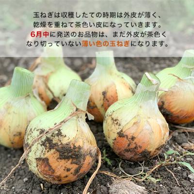 ふるさと納税 南あわじ市 兵庫県認証食品★特別栽培★淡路島たまねぎ