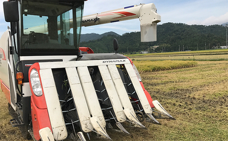 令和5年産福井県若狭町つきあかり（一等米）玄米　10kg（神谷農園） 5kg×2袋