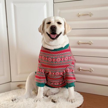 狗狗衣服大型犬拉布拉多金毛圣誕喜慶衣服新年保暖衣服網紅狗狗衣
