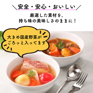 ごろっと具材の洋食 スープ 3種6食  ポトフ ビーフ スープカレー ポークシチュー 常温保存 スープ  レトルト スープ