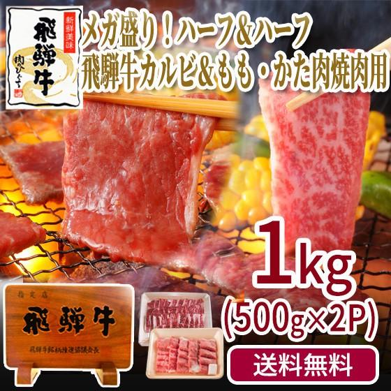 肉 福袋 牛肉 焼肉セット 飛騨牛 メガ盛り 1kg カルビ もも かた肉 赤身 約4〜5人 焼肉 焼き肉 黒毛和牛 バーベキュー バーベキューセット お取り寄せグルメ