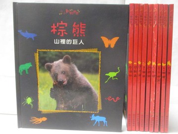 【書寶二手書T4／少年童書_QN2】小小動物世界-棕熊_母雞_老鼠_海豹等_10本合售