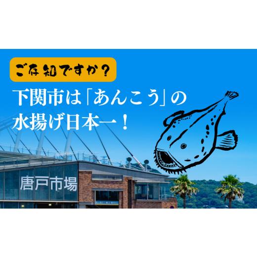 ふるさと納税 山口県 下関市 あんこう鍋 唐揚げ セット 2人前 スープ付き 海鮮鍋 冷凍 下関 山口