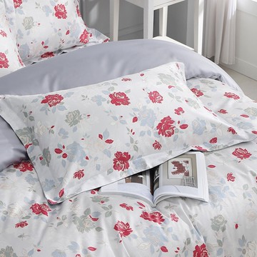 鴻宇 SUPIMA500織 匹馬棉 歐式壓框枕套2入 伊芙琳