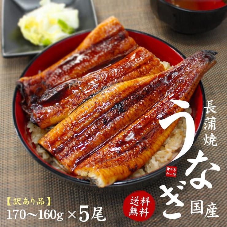 うなぎ ウナギ 国産 長蒲焼き160g〜170g×5尾 送料無料 訳あり セット《eel-ue1》〈ue1〉yd9[[ウナギ長蒲焼き-5p]