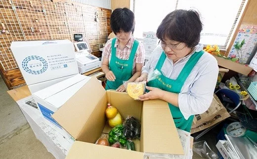 季節の野菜詰め合わせ