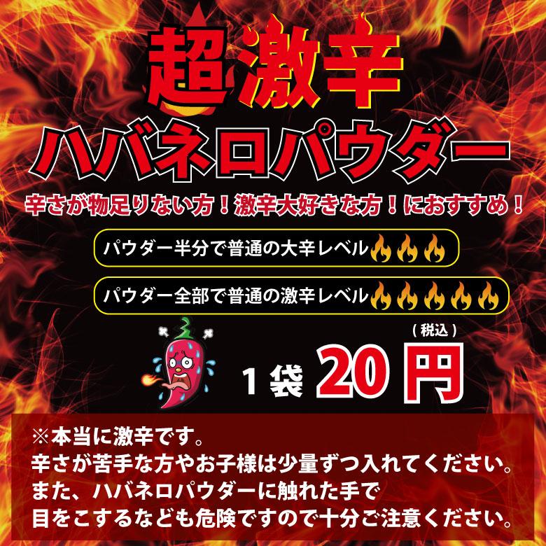 札幌スープカレー 選べる 2食セット 送料無料 チキン 豚角煮 スープカレー 2種類  北海道 スパイス レトルト