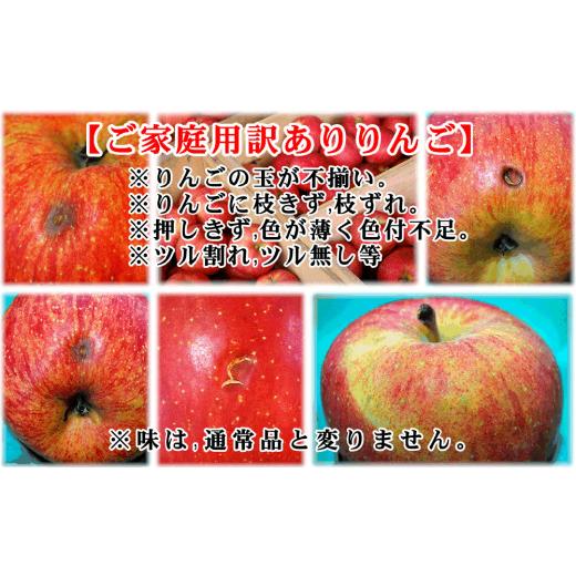 ふるさと納税 秋田県 鹿角市 りんご「サンふじ」家庭用 13〜20玉（約5kg）●2023年11月中旬発送開始　林檎 りんご リンゴ 国産 東北 …