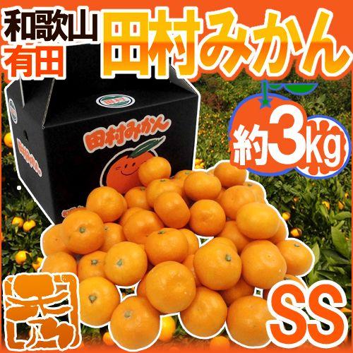 みかん 和歌山有田産 ”田村みかん” 秀品 SS 約3kg 化粧箱 送料無料