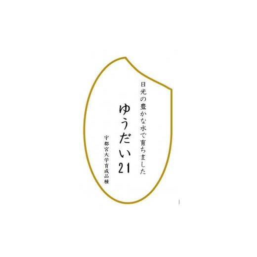 ふるさと納税 栃木県 日光市 令和5年産　ゆうだい21　玄米10kg（5kg×2袋）