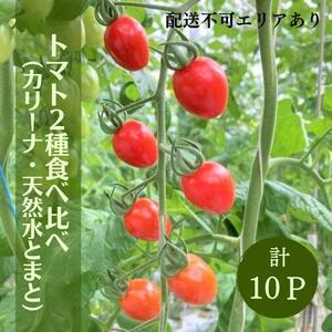 ふるさと納税  トマト 2種 食べ比べ （ カリーナ ・ 天然水トマト ）計10パック 兵庫県加西市