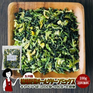 乾燥野菜オールグリーンミックス100g〔チャック付〕／九州産 乾燥野菜 キャベツ ほうれん草 小松菜 大根葉 メール便 送料無料 チャック付