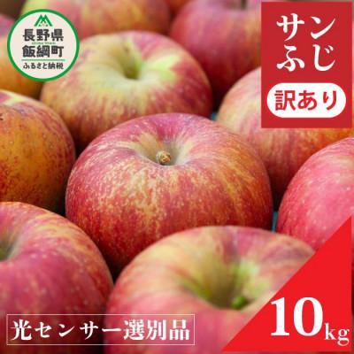 ふるさと納税 飯綱町 2024年12月以降出荷 訳あり りんご サンふじ 10kg 光センサ 糖度12度以上 24〜40玉