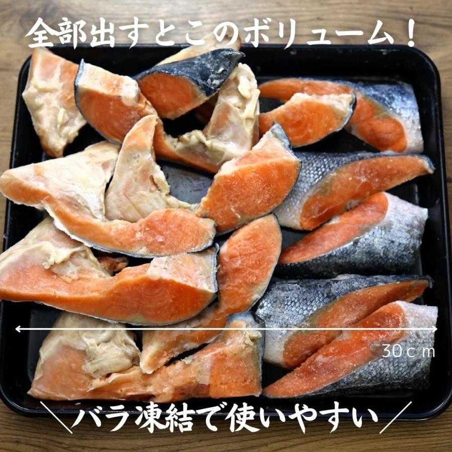 無塩 銀鮭切り落とし1kg　サケ　さけ　大きい　カマ　尾