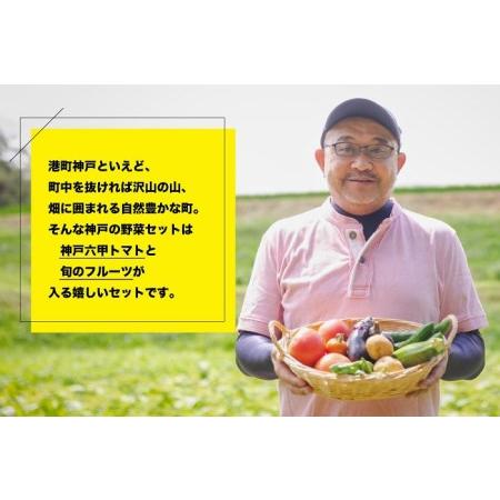 ふるさと納税 神戸のお野菜詰め合わせセット（六甲トマトと季節のフルーツ入）12ヶ月定期便 兵庫県神戸市