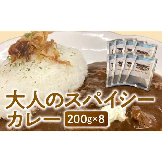 ふるさと納税 福岡県 久留米市 大人のスパイシーカレー200g×8