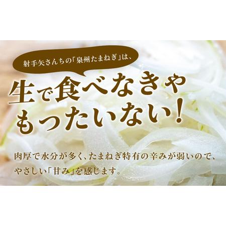 ふるさと納税 射手矢さんちの泉州たまねぎ 10kg  大阪府泉佐野市