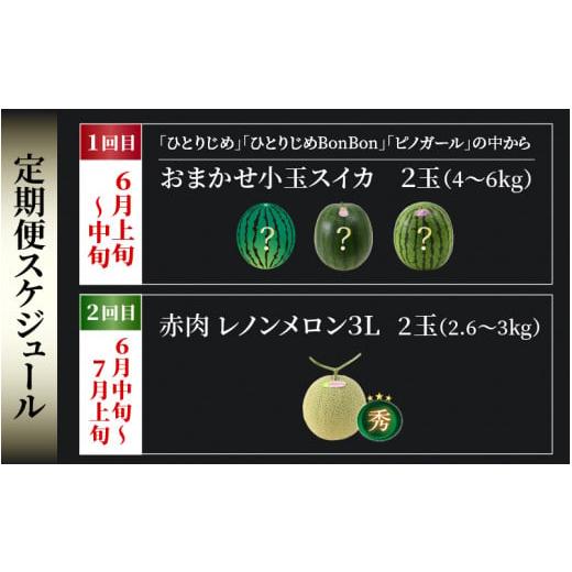 ふるさと納税 福井県 あわら市 《定期便全2回》スイカとメロン大好きな人集まれ！（小玉スイカ・赤肉レノンメロン）計4玉 農家直送 秀品 お届け！…