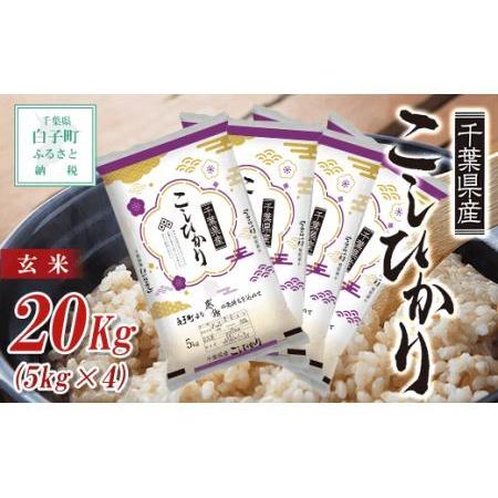 ふるさと納税 令和5年産千葉県産コシヒカリ（玄米）20kg(5kg×4)  SHB028 千葉県白子町