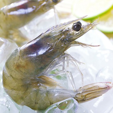 【海之醇】活凍鮮甜白蝦-7包組(200g/包)