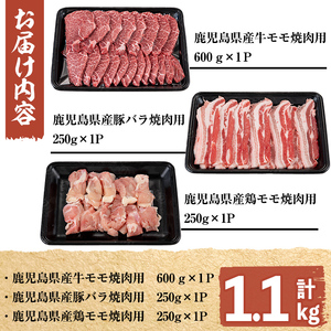 鹿児島県産牛・豚・鶏焼肉セット(計1.1kg) a6-029