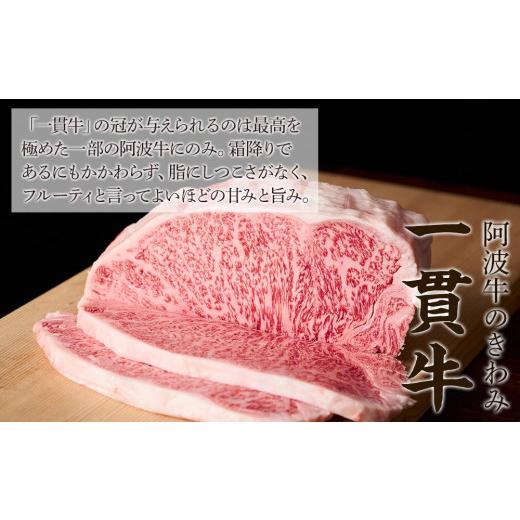 ふるさと納税 徳島県 徳島市 一貫牛 赤身焼肉＆しもふり焼肉（500g)