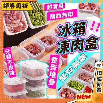 【隔日配+免運💥分裝好幫手】冰箱凍肉盒 保鮮盒 冰箱收納 分格凍肉盒 密封 冷凍 廚房收納 分裝保鮮盒