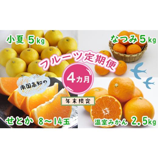 ふるさと納税 高知県 香南市 柑橘お楽しみ定期便4回コース 4回配送 果物 フルーツ のし対応不可 年末年始限定 Wku-0036