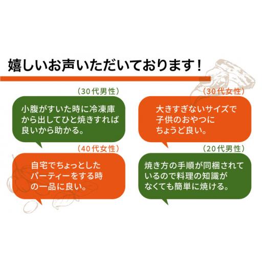 ふるさと納税 福岡県 糸島市 薪窯焼き ピッツァ3枚セット（ 野菜ピッツァ1枚 ／ マルゲリータ2枚 ）  《糸島》 ピザ pizza ナポ…