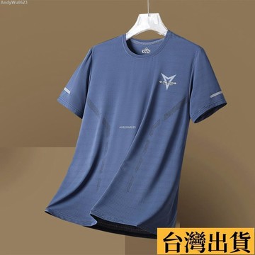 🌈台倉出庫🌈 夏季輕奢休閒圓領寬鬆冰絲網眼短袖速乾透氣男士運動冰爽t恤百搭