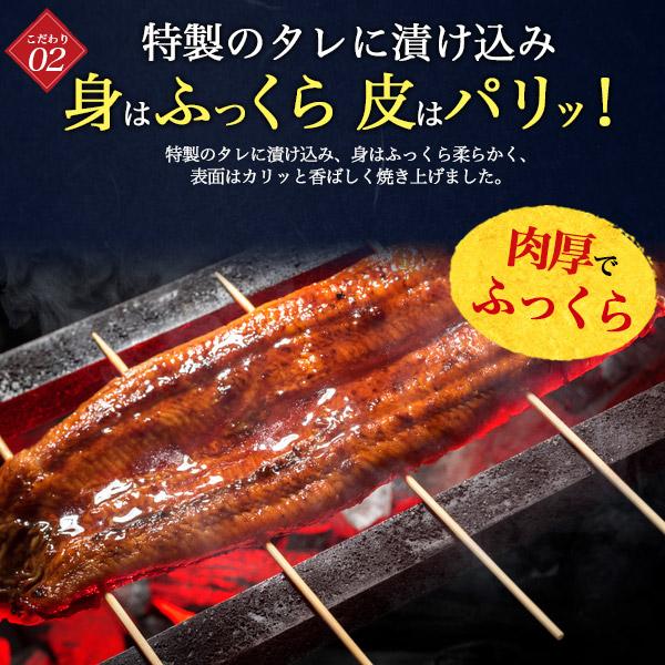 鹿児島県産 鰻 うな丼 2食セット  (250g×2パック) タレ付き レンチン お惣菜 国産 うな重 丼ぶり 丼もの 日本産 お取り寄せ グルメ 熨斗対応可 冷凍便配送